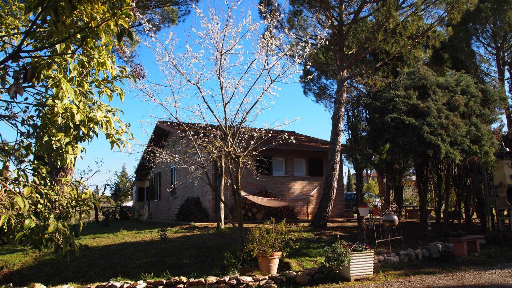 Agriturismo La Terra Valiano Εξωτερικό φωτογραφία