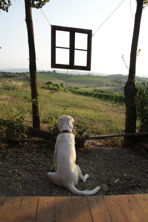 Agriturismo La Terra Valiano Εξωτερικό φωτογραφία